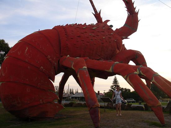 - Larry der Lobster - 
Touristenatraktion in Kingston
War urspruenglich 3x kleiner geplant und sollte auf das Dach des hinteren Restaurants, wurde aber versehentlich nicht in Feet und Inch gebaut, sondern in Meter...tja, kann passieren 