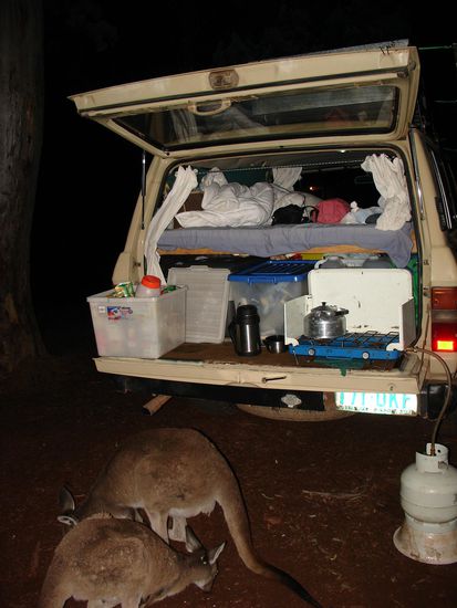Naechtlicher Besuch von den Kaengaruhs...
sie haben uns sogar aus der Hand gefressen (gab natuerlich nur gesundes -Muesli 