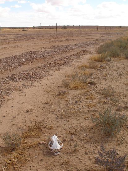 Gaehnende Leere am Oodnadatta Track...