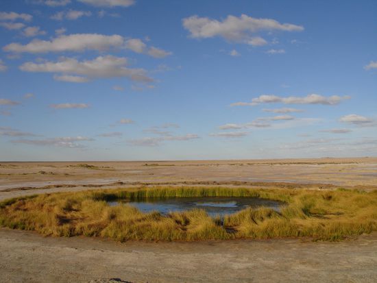 Eine Fata Morgana? Sobald das Wasser fliesst (Wie diese Quelle hier), entstehen wirklich Oasen mitten in der Wueste - faszinierend!