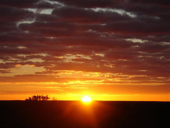 - Sonnenaufgang am Oodnadatta -