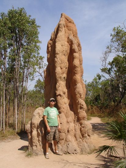 - Magnetic Termite Mounds, Litchfield National Park - 
Riesige Termitenhuegel ...
