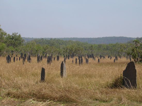 ...die teilweise ausschauen, wie Grabsteine.