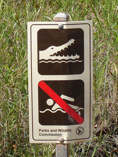 Ein typisches Hinweisschild in den tropischen Nationalparks im Norden.
Hier oben sollst wirklich nirgendwo ins Wasser gehen, entweder es frisst dich ein Hai, oder ein Krokodil, oder du wirst von der toedlichen Qualle "Boxjellyfisch" umwickelt. 
Also bleib lieber am Land...hier koennen dich "nur" Schlangen und Spinnen beissen! 