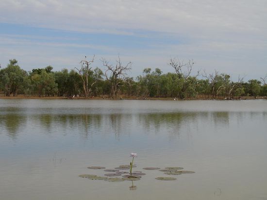 - Leichhardt Lagoon - 
Es war gleich ein schoener Campingplatz daneben.