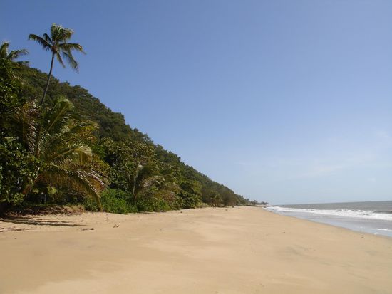 Hier bei Cairns trifft der Regenwald auf den Ozean...