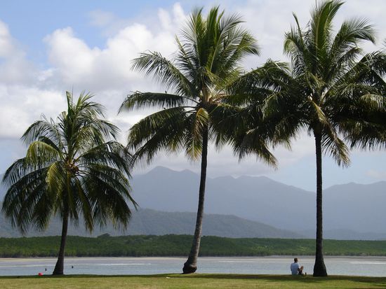 - Port Douglas -
Im Hintergrund erheben sich die Great Dividing Ranges, die fuer den Regen in dieser Region sorgen. Man findet hier wirlich eine ueppige Tier-und Pflanzenwelt vor!
