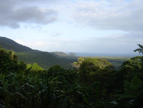 - Cape Tribulation -
Ueber den Daintree River kommt man mit der Faehre auf die andere Seite, der Beginn des Cape Tribulation. 
Hier kommt man sich vor, wie in der Filmkulisse von Jurassic Park!