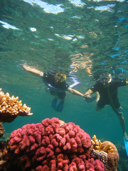 Je weiter draussen, umso schoner die Korallen. Hier ist das Wasser noch unberuehrt sauber!