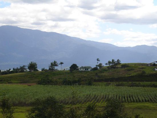 Typisches Bild im Norden...
Zuckerrohrplantagen mit den Great Dividing Ranges im Hintergrund.