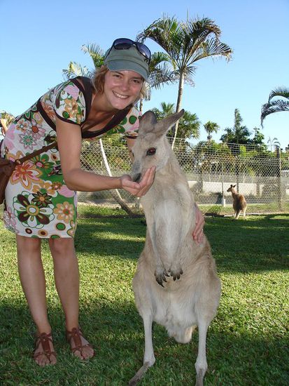 Immer wieder schoen...Kaengaruhs streicheln 
Wir haben gottseidank mit unserem Auto kein einziges auf dem Gewissen...fast schon ein Wunder!