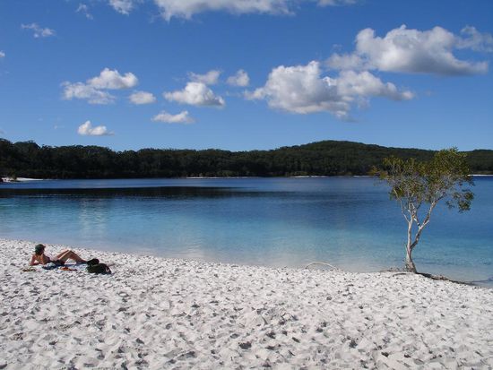 - Lake McKenzie, Fraser Island - 
Der wohl mit Abstand schoenste und sauberste See, den wir je gesehen haben!
Hier konnte man wunderschoen Postkartenfotos machen...