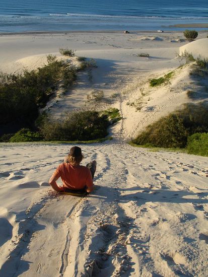 - Sandduenen-Boarden auf Fraser Island -
Ja, Sand gibt es genug auf Fraser Island! Und man hat auch anschliessend wirklich ueberall Sand (Auto, Klamotten, Koerper...)