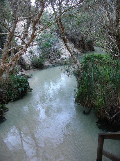 - Elly Creek, Fraser Island - 
Der groesste Fluss auf der Insel, der pro Stunde 4 Millionen Liter Wasser in den Ozean fliessen laesst.