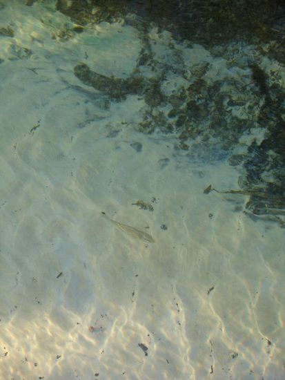 Das Wasser war wirklich glasklar...