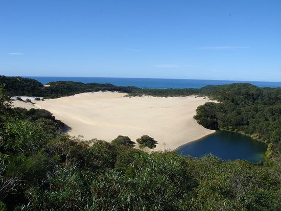 - Lake Wabby, Fraser Island - 
Hier kann man direkt von der Sandduene in den See rutschen.