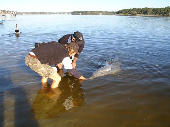 - Andy beim Delphinfuettern - 
Delphine fressen 30 Kilo Fisch pro Tag! 
Im Hintergrund...der Pelikan.