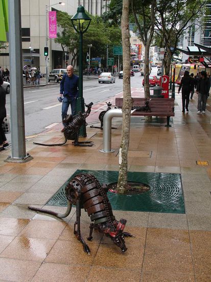 Kaengaruhs in der Stadt...