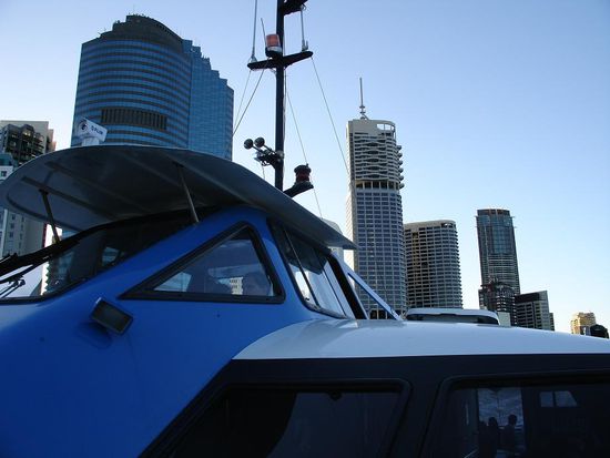 Die Citicat...miauhhh 