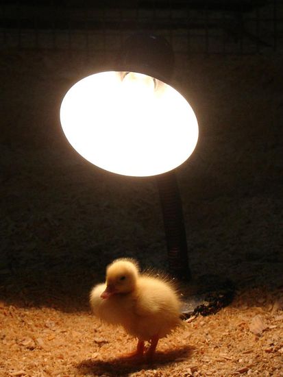 - Unser Kunstfoto des Tages -