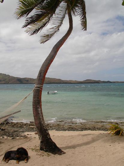 - Coral View - 
Auch wunderschoen zum Schnorcheln...