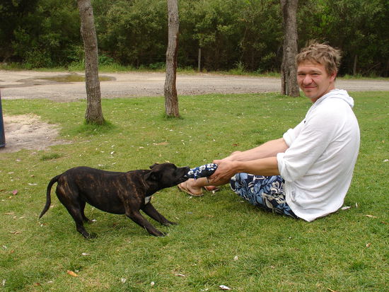 Unser Surfhund Grommet