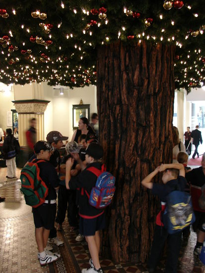 MEGA-Tannenbaum im Queen Victoria Building ...im Erdgeschoss!!!