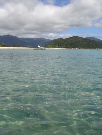 Blick vom Water-Taxi auf den Nationalpark Abel Tasman - Abel Tasman war uebrigens ein Hollaender und der Entdecker von Neuseeland