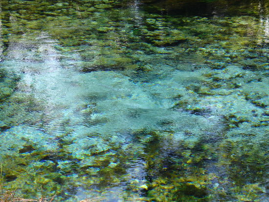 Die weltweit sauberste und klarste Frischwasser-Quelle liegt in Abel Tasman...faszinierend...man kann 20 Meter auf den Grund sehen wie durch Glas