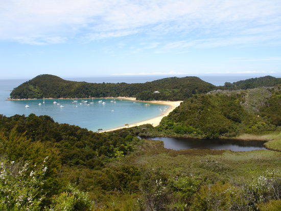 Blick auf die unzaehligen Straende, die den Nationalpark Abel Tasman saeumen