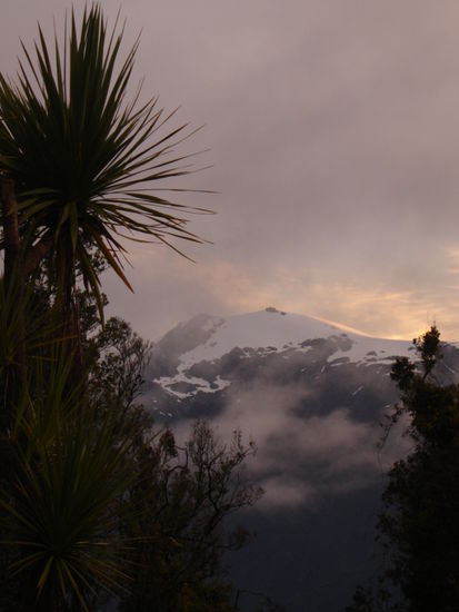 Blick vom Hostel "Rain Forest" in Franz Josef