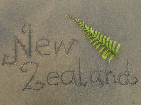 ... Neuseeland !
Der Farn ist das Erkennungszeichen von Neuseeland. Den gibts hier ueberall und in saemtlichen Ausfuehrungen