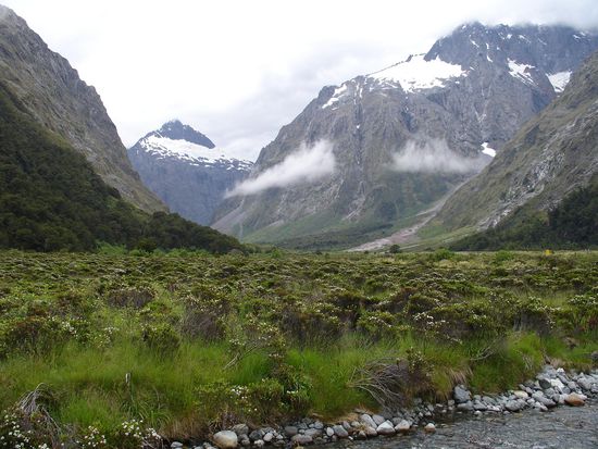 auf dem Weg nach Milford Sound
