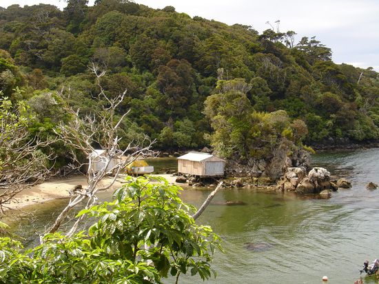 Steward Island - klein, suess und idyllisch - 400 Einwohner auf einer Flaeche von 1750 qkm