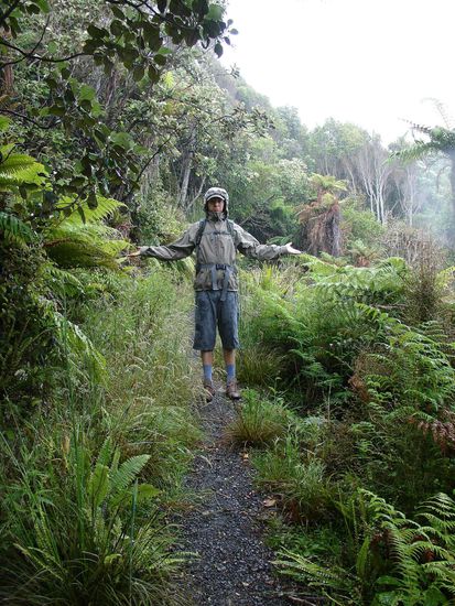 Beim Wandern 
- Regen im Regenwald -