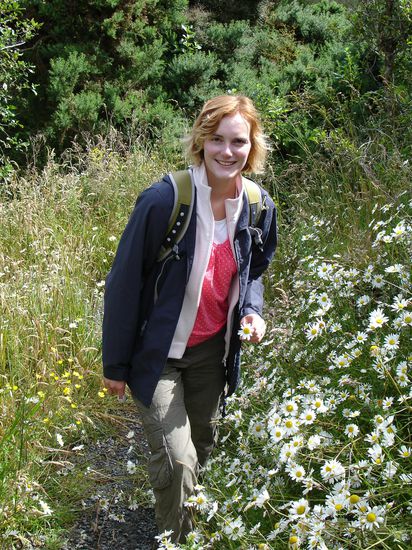 Ganz viele Daisys !!!