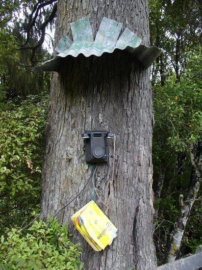 Telefonzelle auf Stewart Island 
