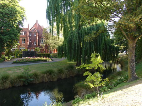 Am Fluss Avon in Christchurch