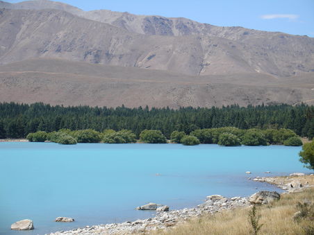 Lake Tekapo mit dem tuerkisesten Wasser das wir je gesehen haben.