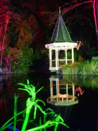 beleuchteter Botanischer Garten bei Nacht in Wellington