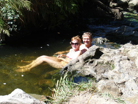 heisse Quellen, die durch die Vulkanaktivitaeten in der Region Taupo aufgeheitzt werden -
es waren bestimmt 40 Grad, Daisy war es bei fast 30 Grad Aussentemperatur schon zu heiss!