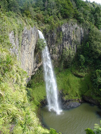 55m Wasserfall bei Raglan -
eigentlich der schoenste und groesste, den wir in NZ gesehen haben, und wir haben einige Wasserfaelle gesehen!!