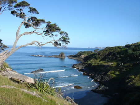 Kueste im Norden, Bay of Islands
entlang der Old-Russell-Road - wirklich sehr zu empfehlen!