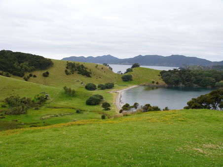 Bay of Islands -
auf einer der vielen vielen Inseln, leider an diesem Tag bewoelkt