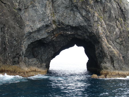 Whole in Rock -
ein Loch im Felsen, Bay of Islands -
wir sind sogar mit dem Boot durchgefahren!