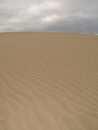 Sand....nichts als Sand...
man koennte glatt meinen, man ist in der Sahara!