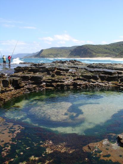 Privat Pool  im Royal National Park