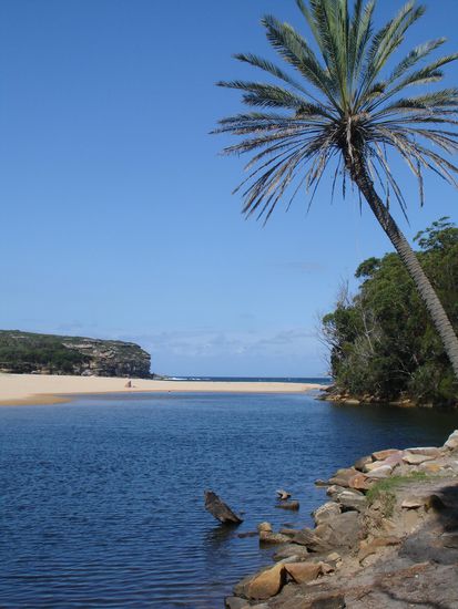 Ein Traum oder...?
Nein, der Royal National Park!