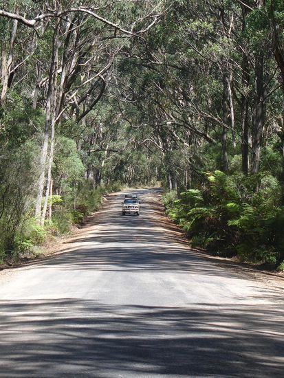 Auf in die Blue Mountains...
