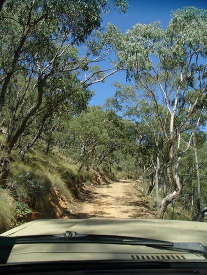 ...ueber Stock und ueber Stein...